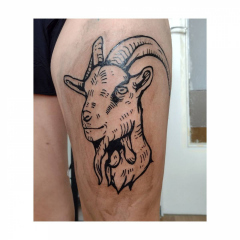 tanja-hehn-tattoo-ziege