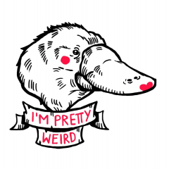 Platy