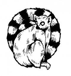 lemur-tatto-tanja-hehn