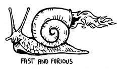 schnecke