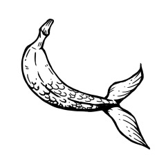 tanja-hehn-Bananenfisch-Tattoo
