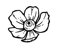 tanja-hehn-Blume-Auge-Tattoo