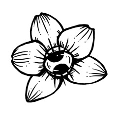 tanja-hehn-Orchidee-Tattoo