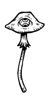 tanja-hehn-Pilz-Tattoo