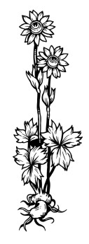 tanja-hehn-augen-blumen-tattoo