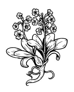 tanja-hehn-blumen-tattoo