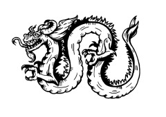 tanja-hehn-drache-tattoo-2