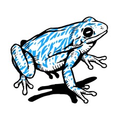 tanja-hehn-frosch-tattoo